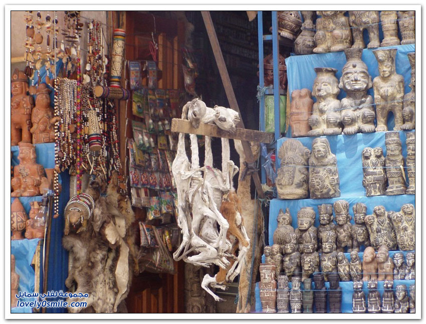 بالصور.. سوق السحرة في بوليفيا
