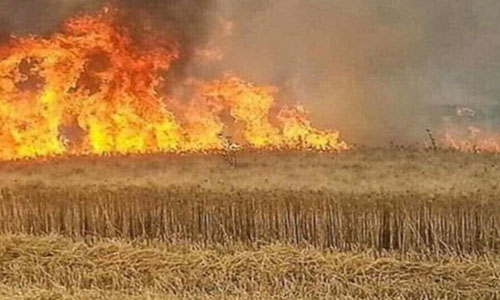 خانقين.. حرائق كبيرة في محاصيل المزراعين