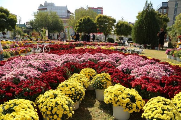 بالصور.. انطلاق مهرجان الزهور في السليمانية