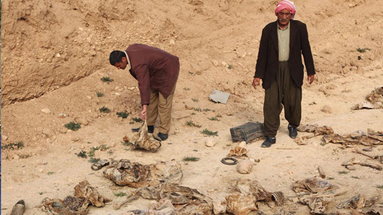 فريق أممي يعثر على 12 مقبرة جماعية للايزيديين