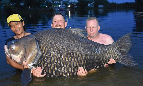 بريطاني يصطاد أضخم سمكة في العالم