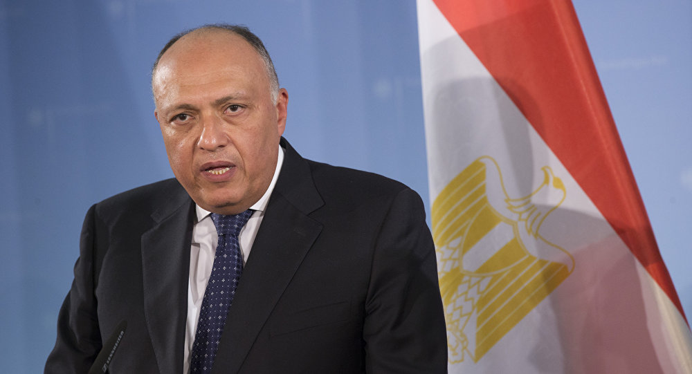 وزير الخارجية المصري يصل بغداد
