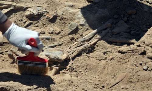 حقوق الانسان تكشف عدد المقابر الجماعية في شنكال