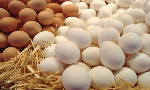 ضبط 100 طن من البيض الفاسد