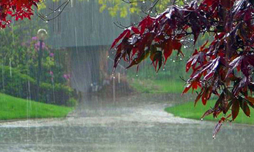 ارتفاع مستمر بنسبة الامطار في اقليم كوردستان