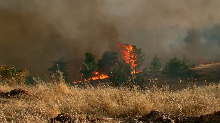 اندلاع 48 حريقا في دهوك