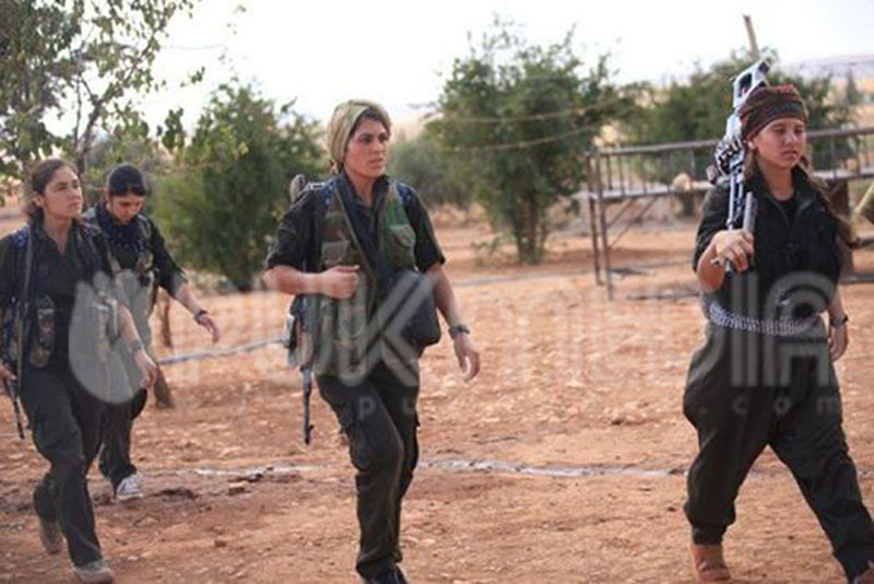 ابناء كوباني يواجهون داعش