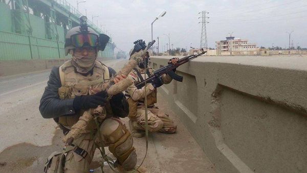 مقتل 28 ارهابياً خلال عمليات عسكرية في محافظة الانبار