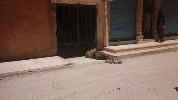  جيف ارهابيي داعش في شوارع كوباني بعد هزيمتهم يوم أمس 