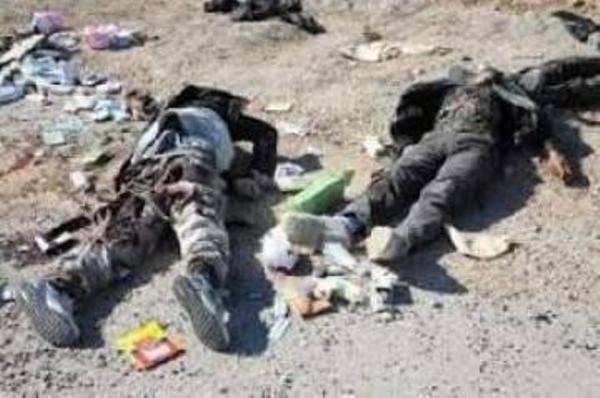 مقتل ارهابيين عرب في البو شجل 