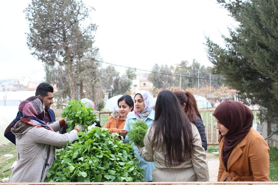 بالصور... طلبة جامعة بالسليمانية يبيعون محاصيلهم الزراعية 