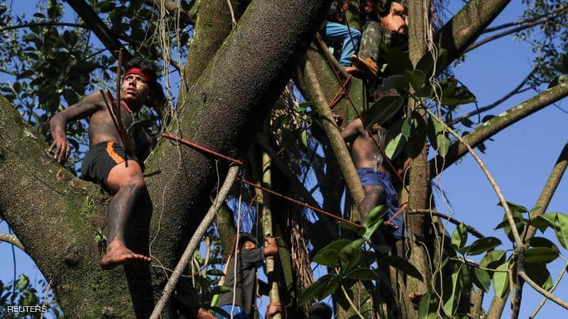 كورونا يجتاح غابات الأمازون وقبائل مهددة بالفناء