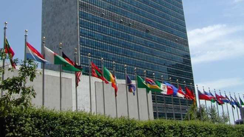 منظمة الأمم المتحدة 