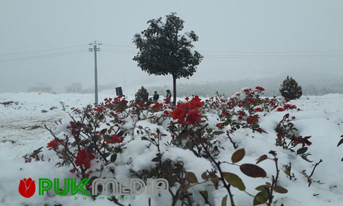  تساقط الثلوج على اقليم كوردستان