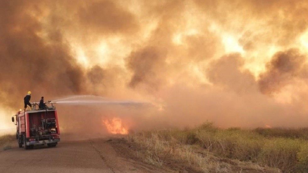 تسجيل 210 حوادث حرق للمحاصيل والحكومة تتجه للتعويض 
