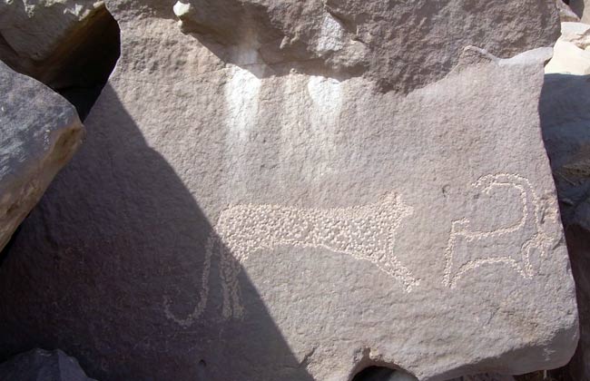 العثور على أقدم نقوش في التاريخ بصحراء أسوان