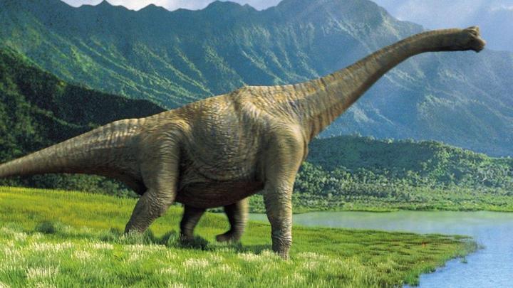 دراسات جديدة تنسف فرضية هلاك الديناصورات