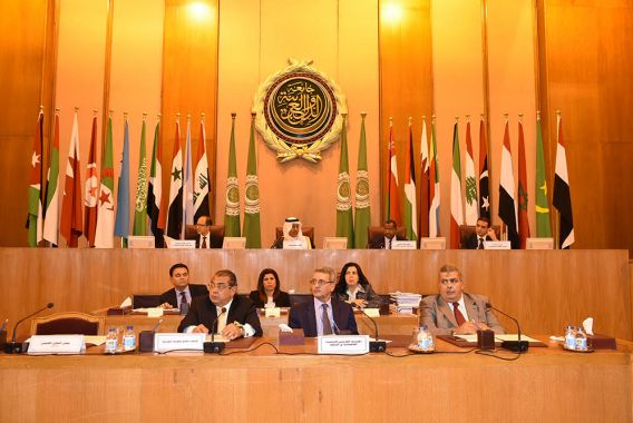 اجتماع المجلس الاقتصادي والاجتماعي الوزاري بمصر