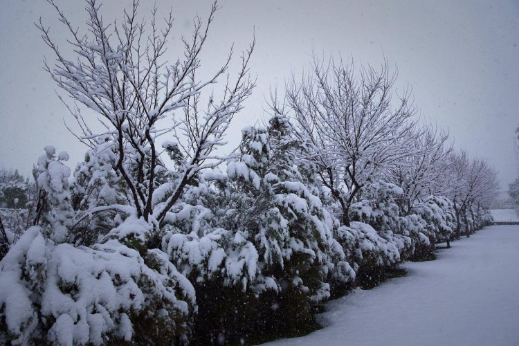 انتهاء تأثير موجة الامطار والثلوج في اقليم كوردستان