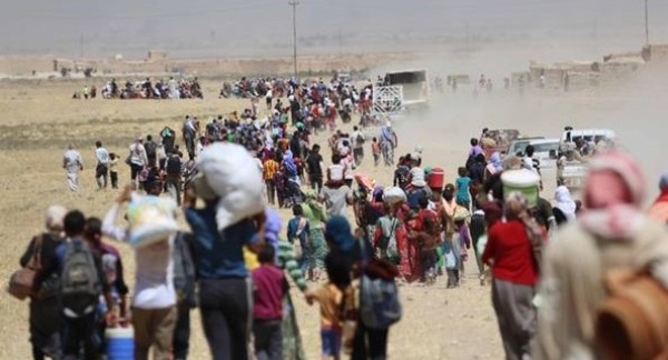 الهجرة: أعداد النازحين تجاوزت 71 ألف من نينوى والحويجة