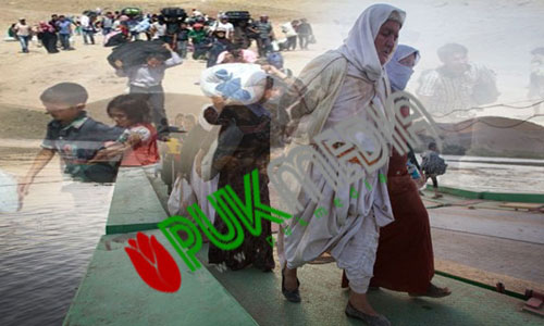 PUKmedia ينشر احدث احصائية بضحايا الايزيديين