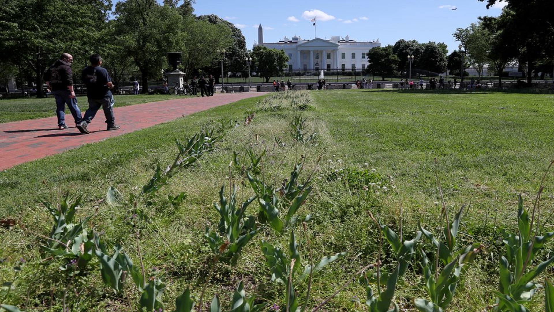 Visitors walk past an overgrown tulip bed in Lafayette Square after the fence was opened to allow public back inside the park after a closure that lasted months outside of the White House in Washington, U.S., May 10, 2021. REUTERS/Leah Millis