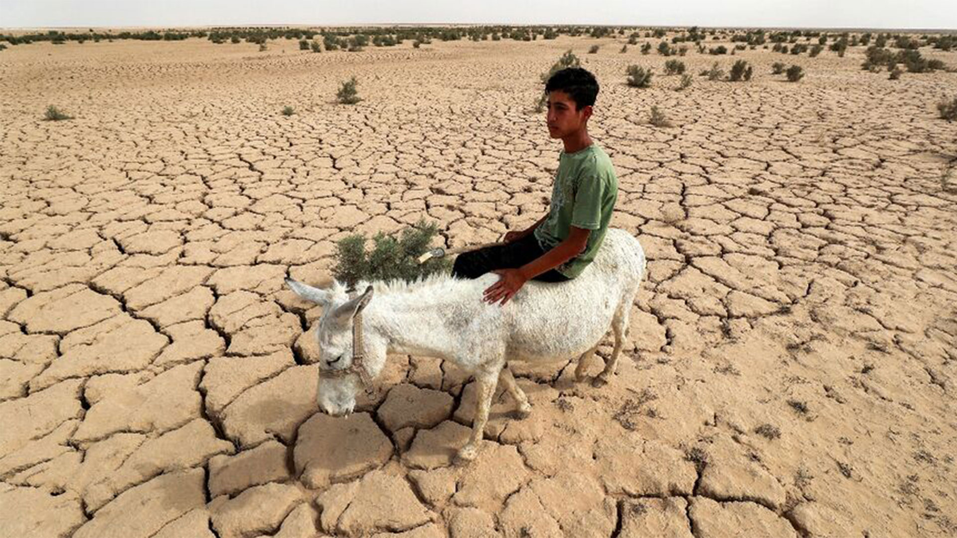  An Iraqi rides a donkey across the dried out lake bed that is all that is left of Lake Hamrin, in normal years a key irrigation reservoir AHMAD AL-RUBAYE AFP