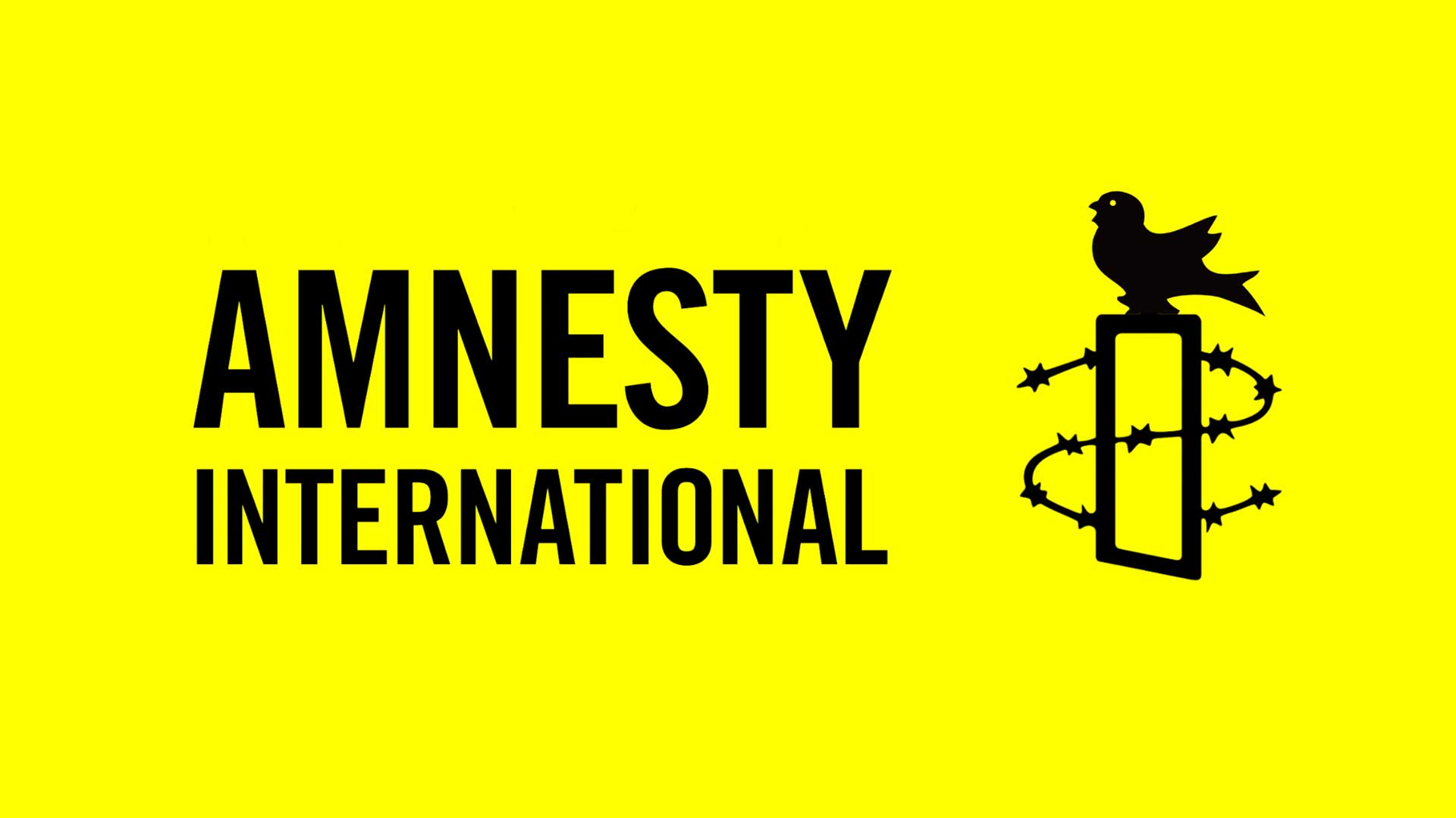 Amnesty International logo 
