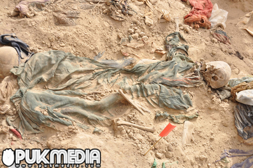 Wezareta Enfal: Em ji bo radestkirina rufatan ligel Moseneyê dixebitin  