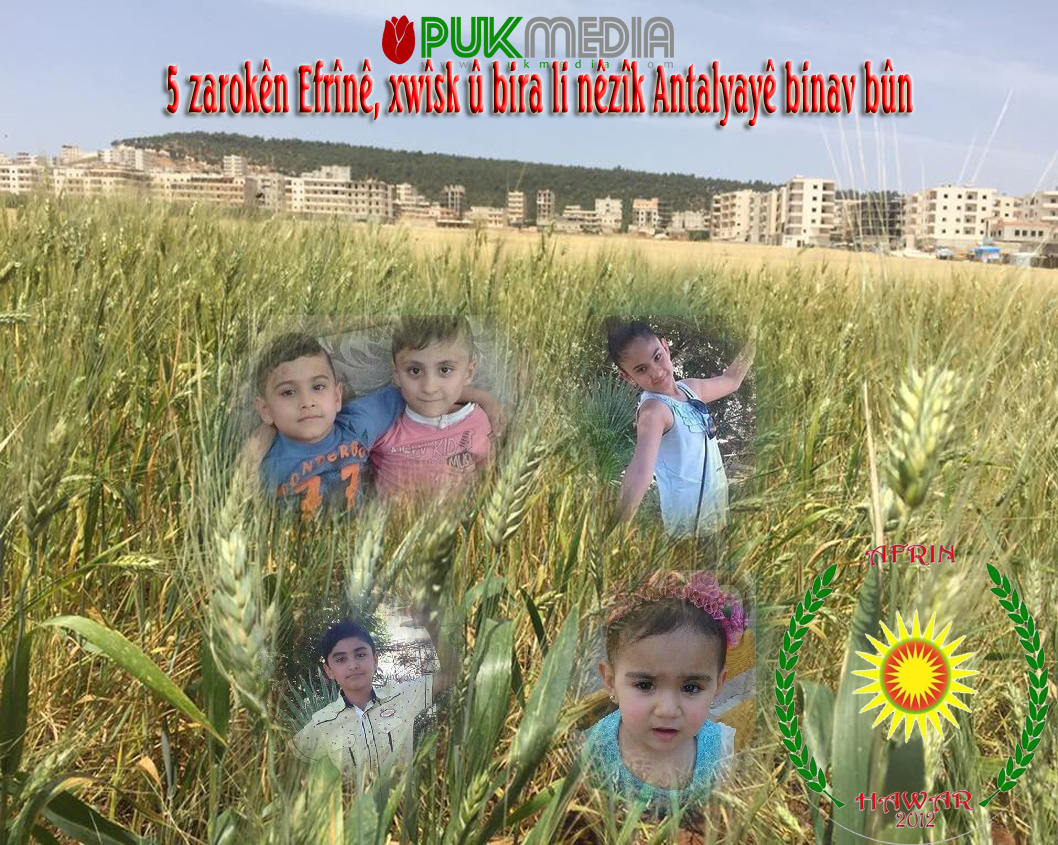 Tirkiyê; 5 zarokên Efrînî xwîşk û bira binav bûn