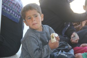 Hijmarek ji penaberan gihîştin Efrînê